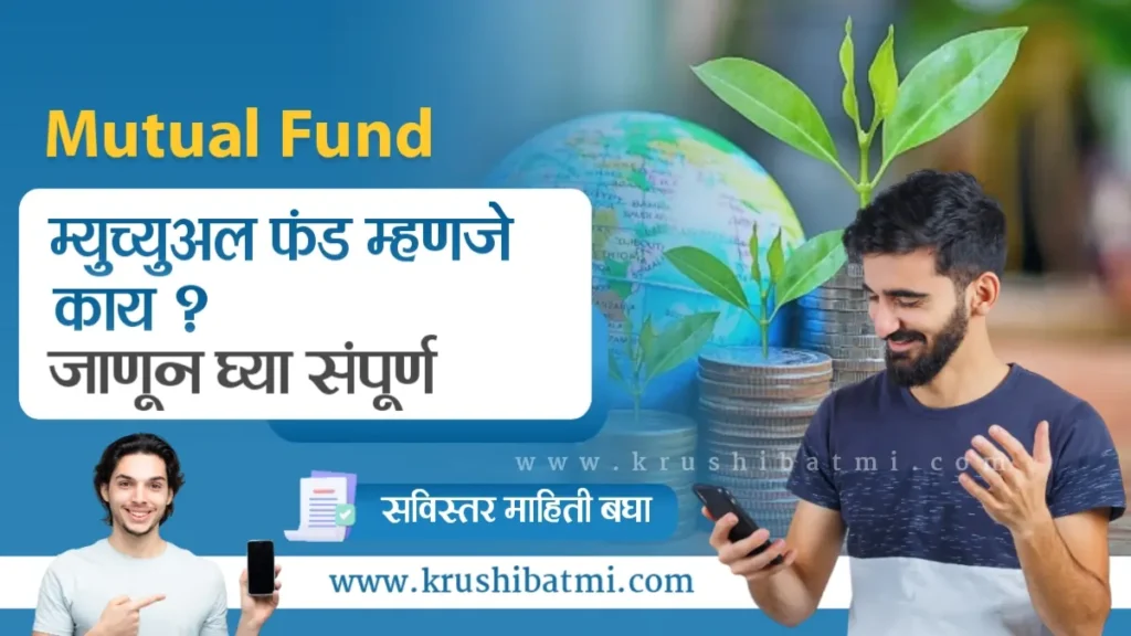 Mutual Fund 2024